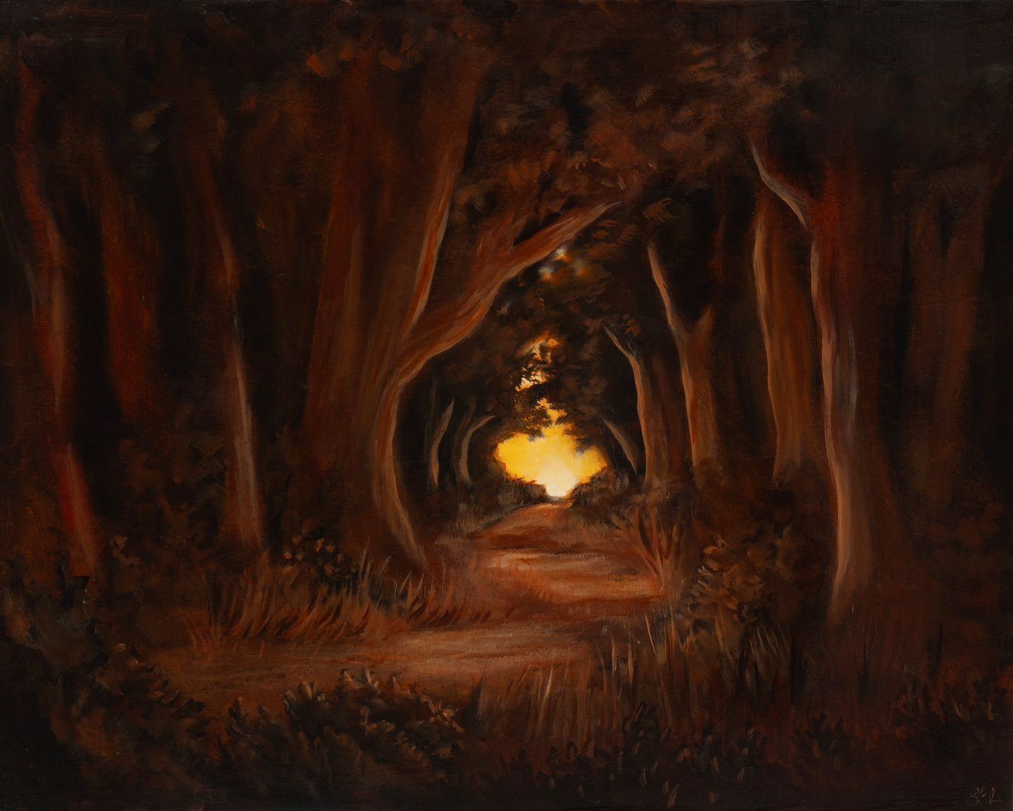 Dark forest with a glowing light at the end
