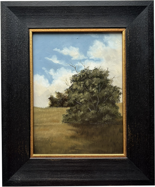Simple Meadow