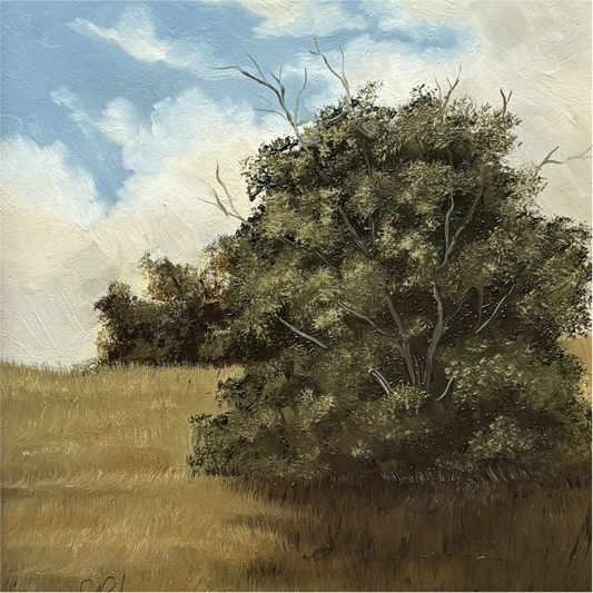 Simple Meadow
