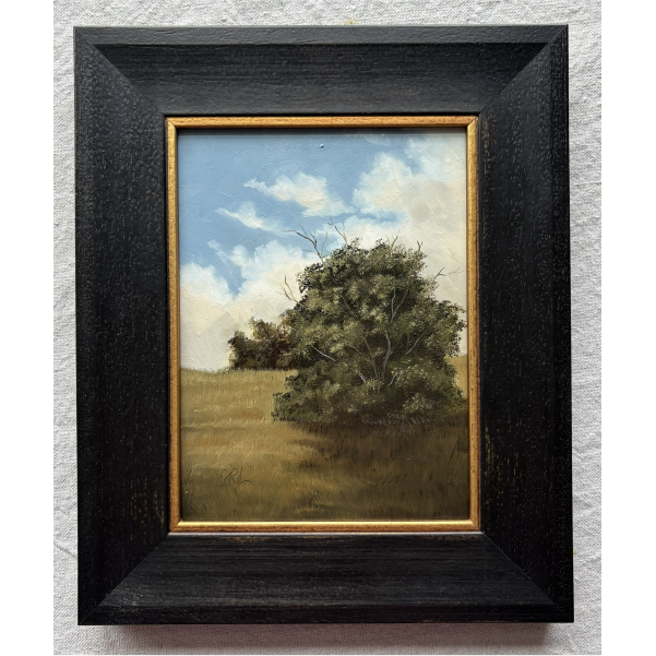 Simple Meadow